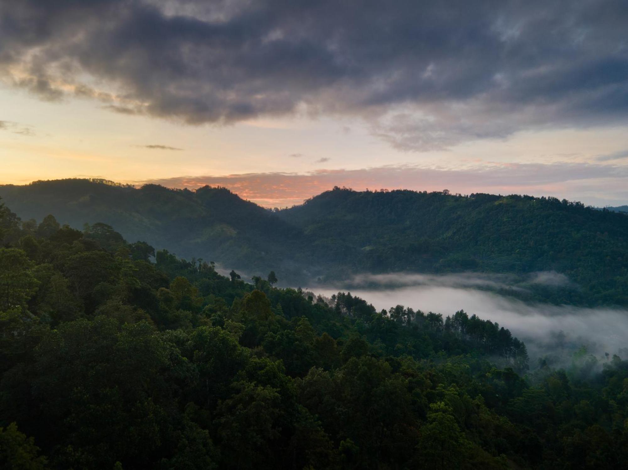 Mount Havana Kandy Kültér fotó