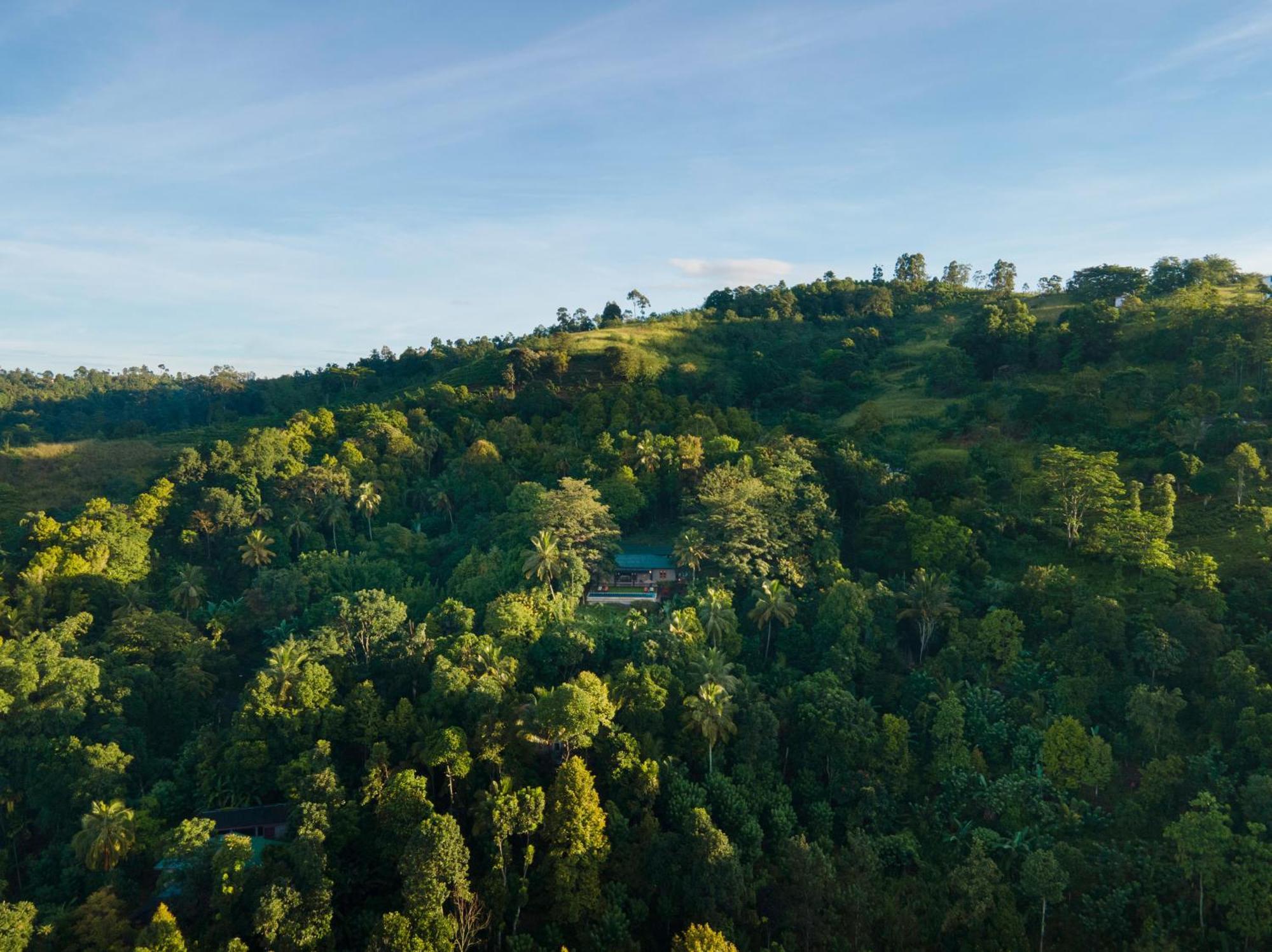Mount Havana Kandy Kültér fotó